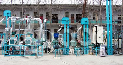 Small Flour Mill for Corn/Maize Milling