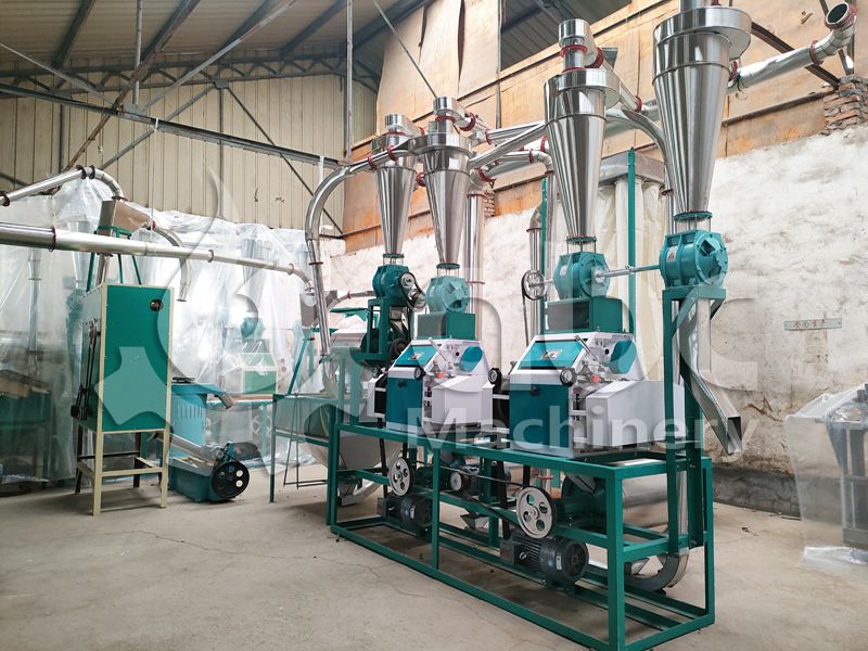 10TPD Wheat Mill at Factory Price