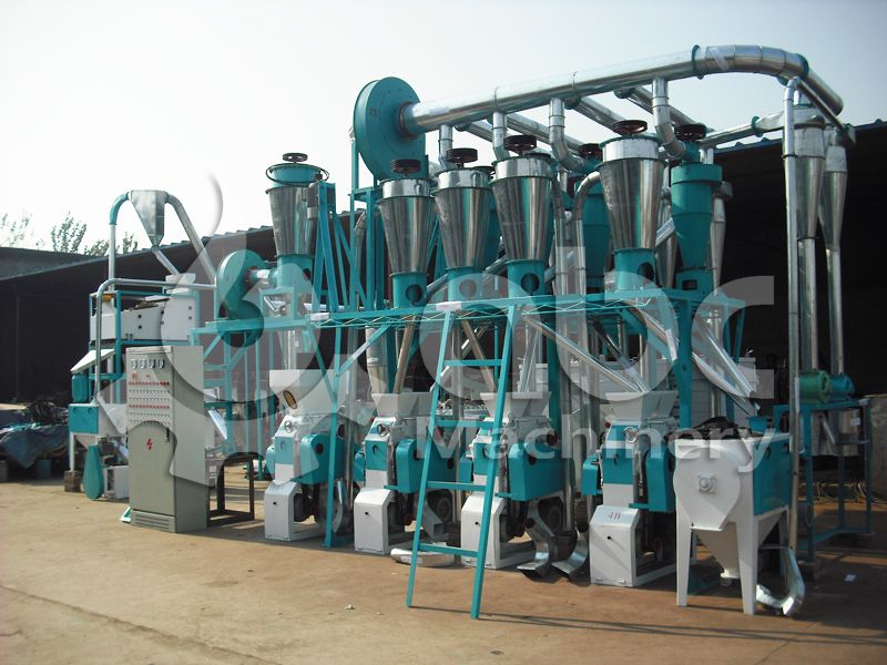 Low Cost Wheat Mill Plant