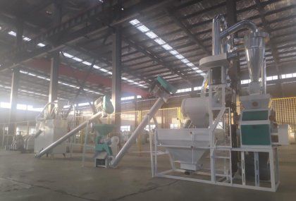 Starting Mini Maize Milling Plant with Low Cost