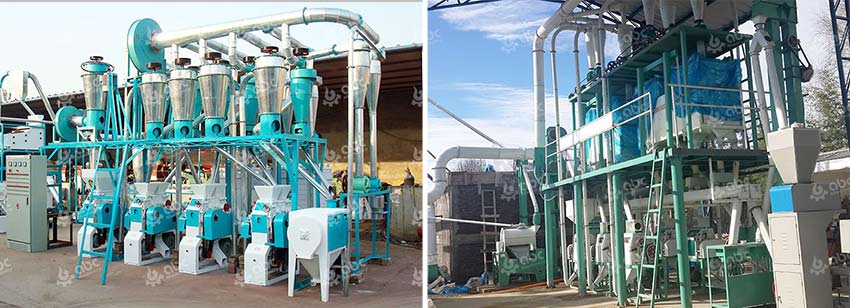 low cost flour making line for sale