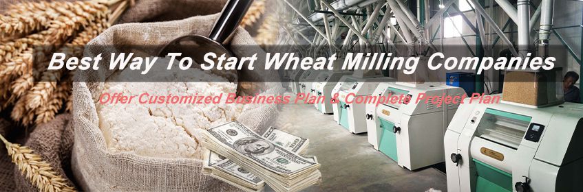 best way to start wheat milling companies