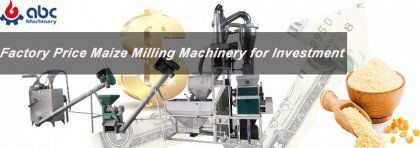 How to Choose the Best Maize Milling Machinery for Investment?