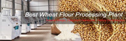 Starting Wheat Flour Processing Plant for Investment