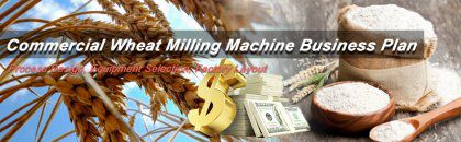 How to Set up a Commercial Wheat Milling Machine for a Business Plan?