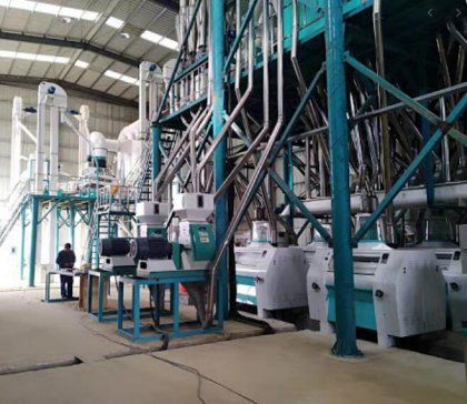 The Cost of Building a Corn Flour Mill Factory