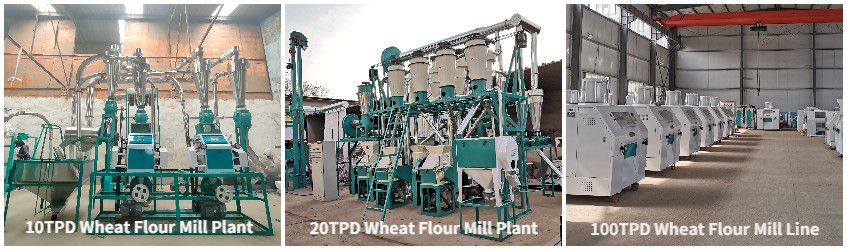 Factory Price Wheat Flour Mill Machine for Sale