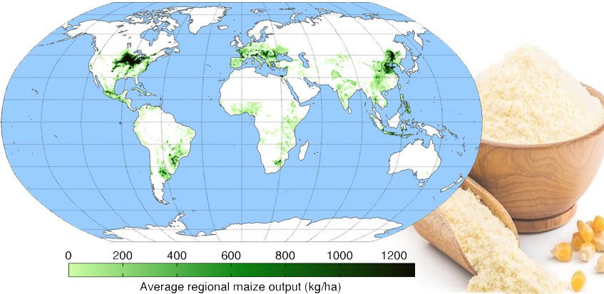 Global Distribution of Corn Production