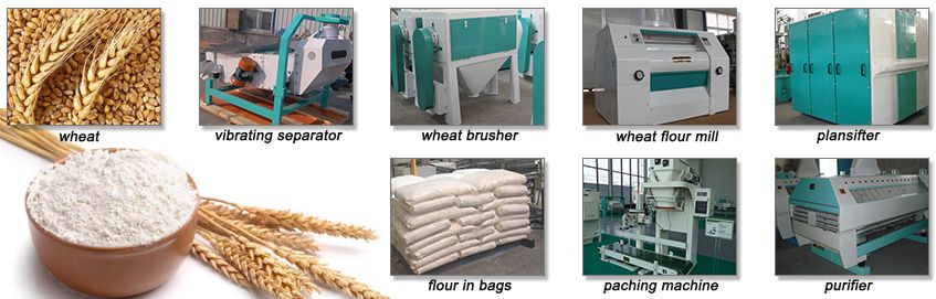 large scale wheat flour making line