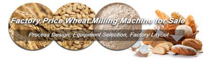 How To Control the Wheat Milling Machine Price Efficiently?