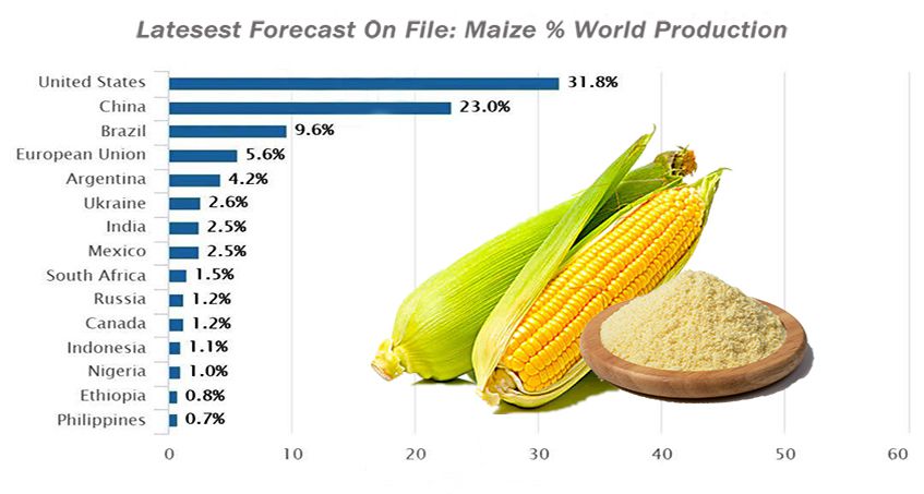 maize flour production percentage by country