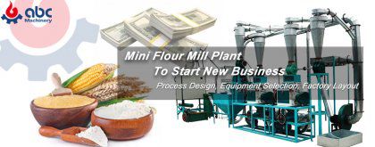 Less is More: Mini Flour Mill Machinery for Business