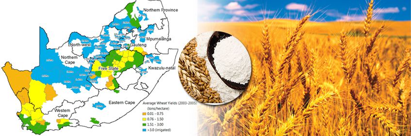Wheat Cultivation Distribution In South Africa