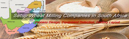 Guidance To Setup Wheat Milling Companies In South Africa
