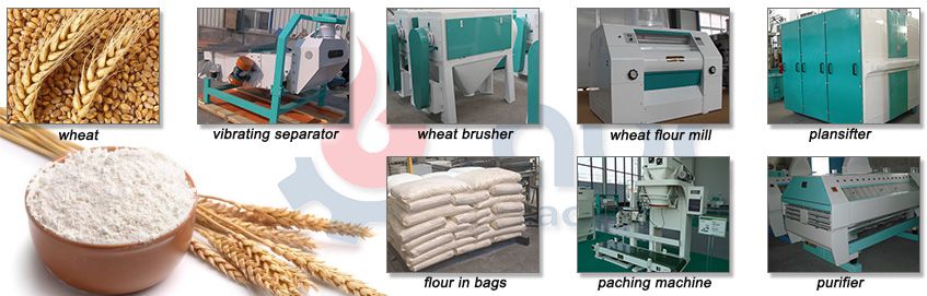 start flour production business with wheat flour mill machine plant