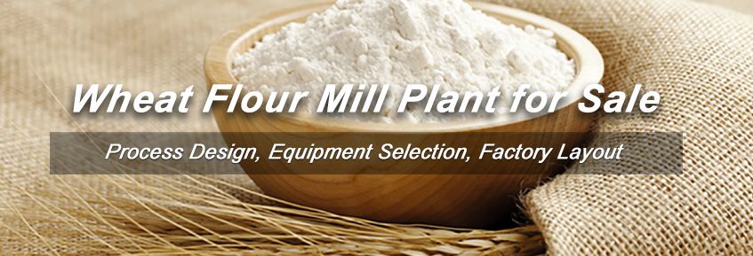 Start Wheat Flour Milling Business