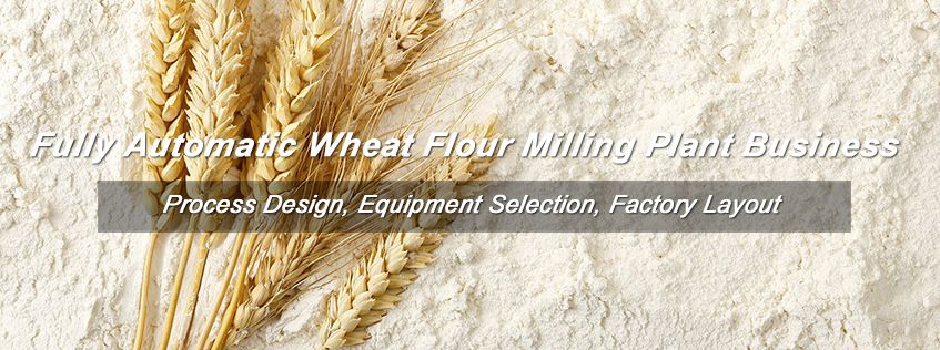 Wheat Flour