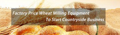 What Wheat Milling Equipment To Buy For Countryside Business?