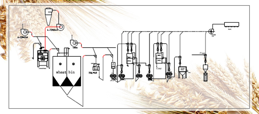 20 t/d Flour Mill Plant Flow Chart