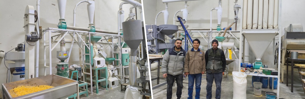 15 tpd corn grits and maize flour machine cost