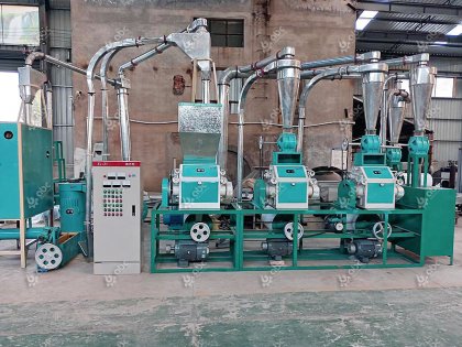 15TPD Small Scale Wheat Milling Machine Delivering to Pakistan