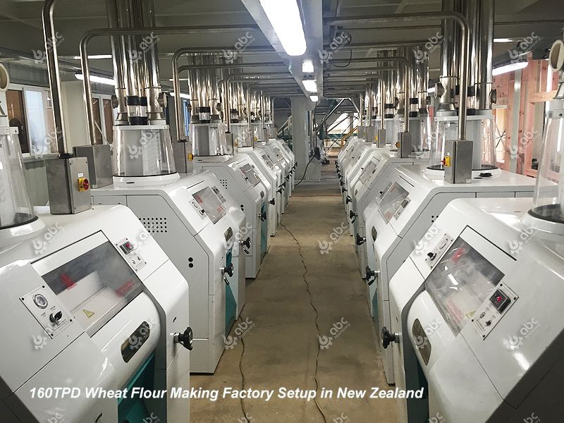160TPd wheat flour production factory playout in New Zealand