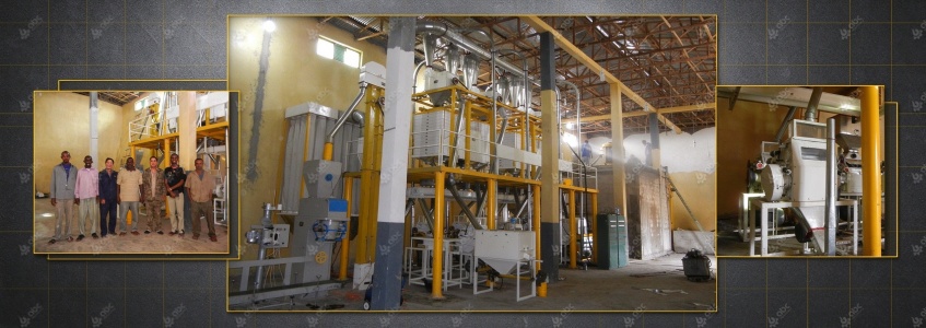 40TPD flour milling line layout