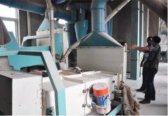 200T Wheat Flour Plant