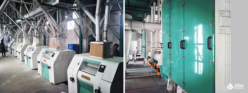 turnkey flour milling plant cost