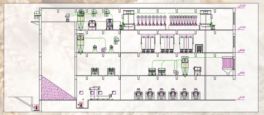 Automatic Wheat Flour Milling Plant Layout Design