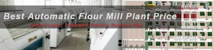 Finding the Great Price for A Fully Automatic Flour Mill Plant