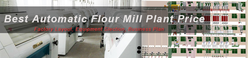 fiding a best automatic flour mill plant price