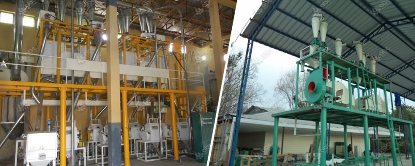 wheat flour mill manufacturing plant low cost