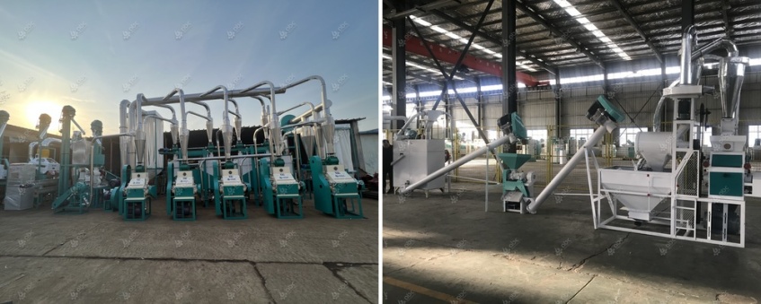 complete flour mill plant