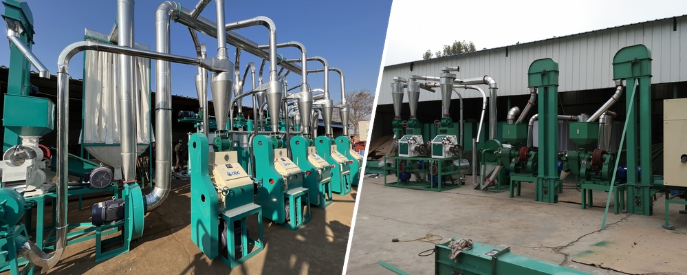 Small medium complete wheat flour milling line