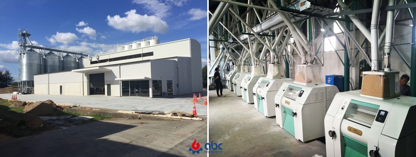 Full-Scale Wheat Processing Plant