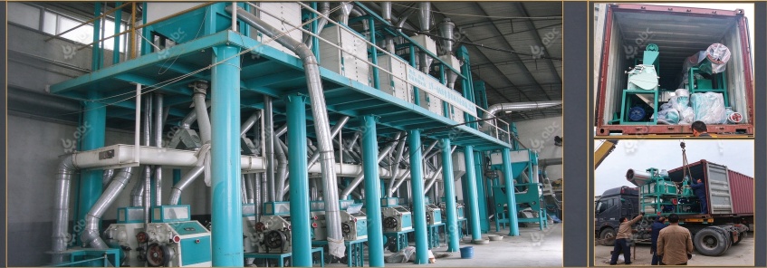 complete flour processing machinery for sale