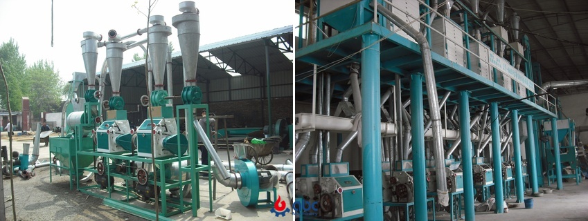 Full Wheat Flour Production Line Available for Purchase