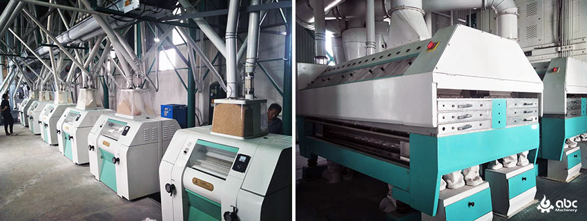 large scale flour production palnt in indonesia