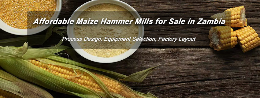 start flour mill plant cost