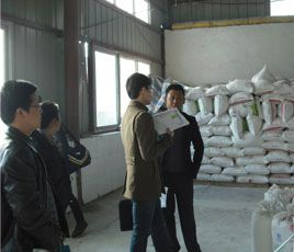 customer in cassava starch plant