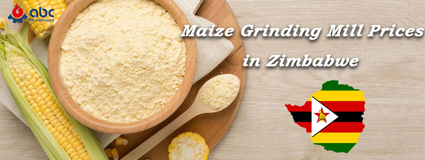 maize flour plant cost