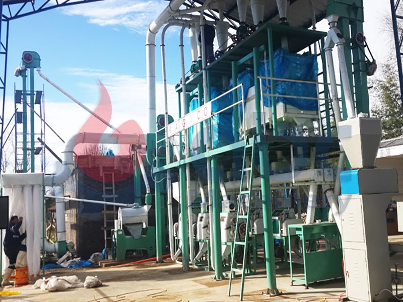 30TPD Wheat Milling Machine For Sale Building in Chile