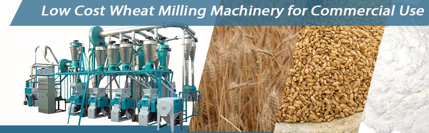 factory price wheat milling machinery for commercial use