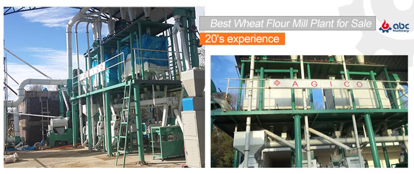 wheat flour plant low price 