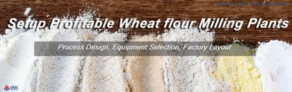 How to Start a Wheat Flour Milling Business: Step-by-Step Guide