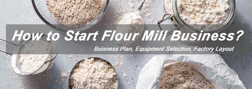 setup ypur own flour milling business