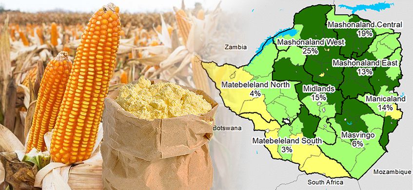 investing in maize flour production