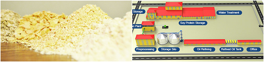 Isolated Soy Protein Production 101