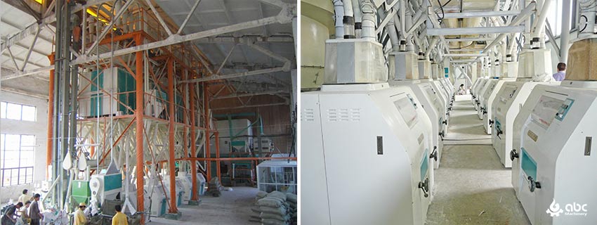 large flour milling plant investment cost